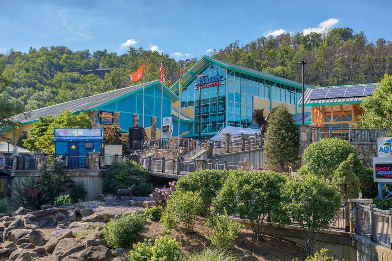 פיג'ן פורג' 5Bd5B Escape Cabin With 2 Hottubs, Thtr &Game Rm,1Mi To The Parkway! 4Mi To Dollywood - Spring Deal מראה חיצוני תמונה